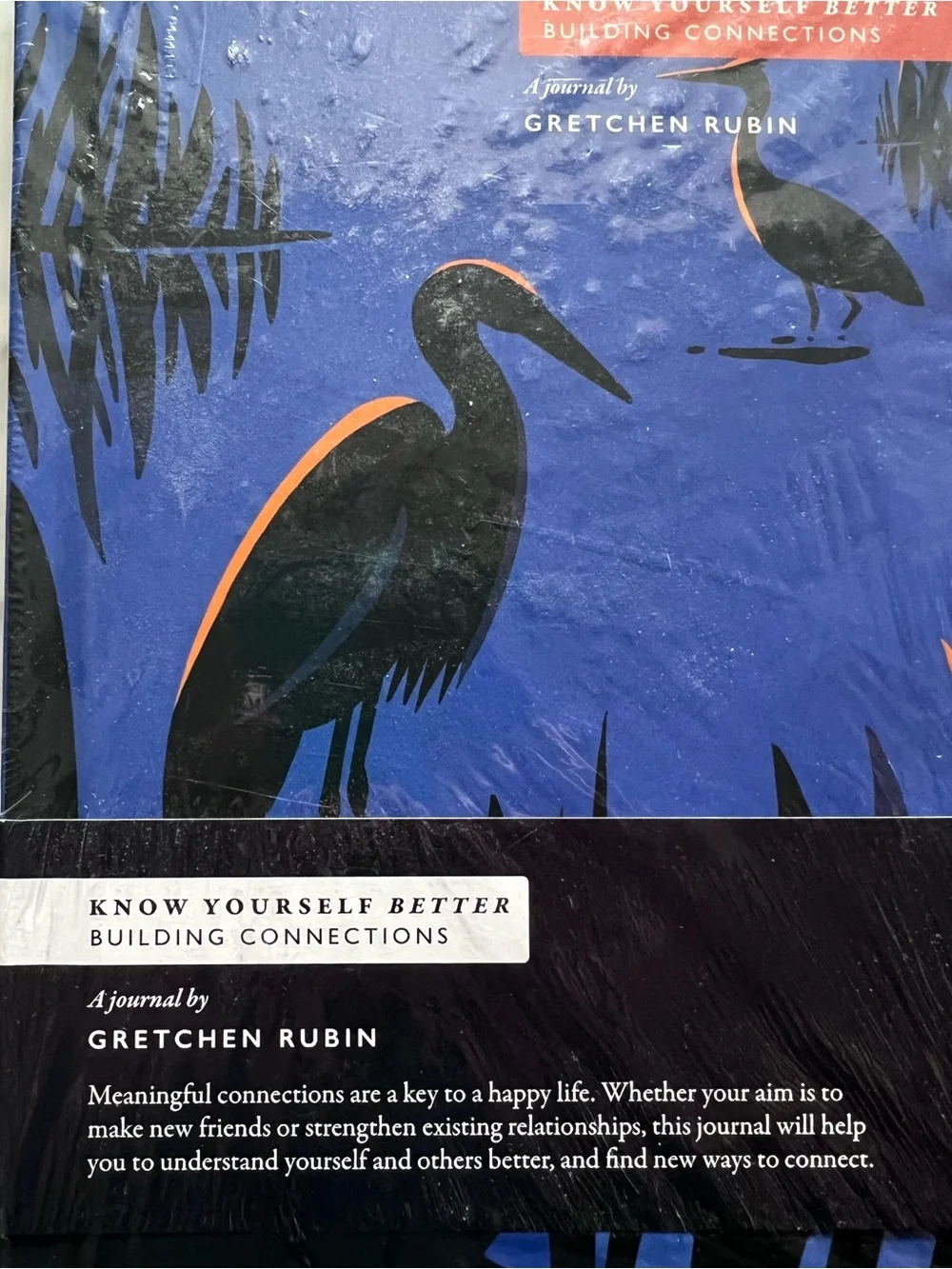 NEW! Know Yourself Better: Building Connections Journal by Gretchen Rubin